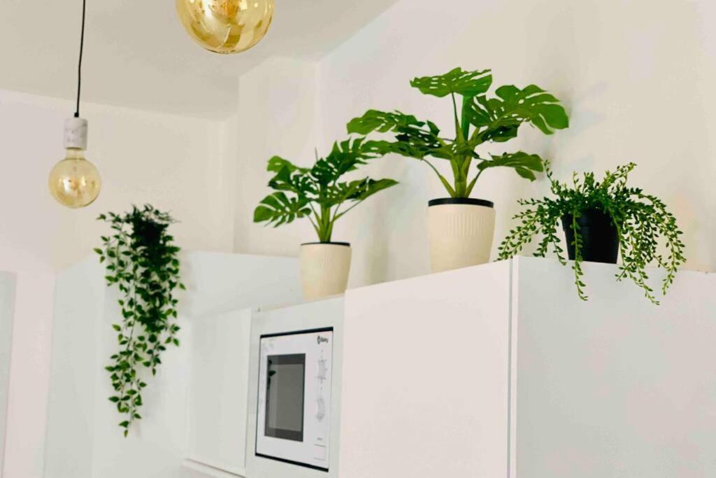 Roof Top Luxury City Center Apartment By Namaste Elite Torremolinos Esterno foto